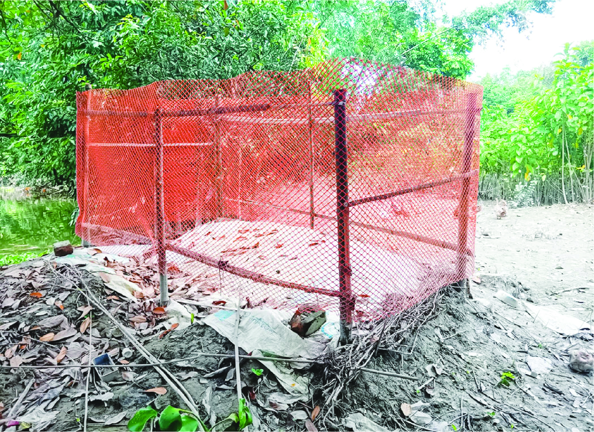 Image of জামসেদুর রহমান জুয়েল